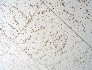 Ceiling Tiles Containing Asbestos