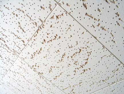 Ceiling Tiles Asbestos Canadian Haz, Acoustic Ceiling Tiles Asbestos