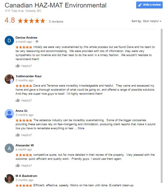 Google Review screen shot